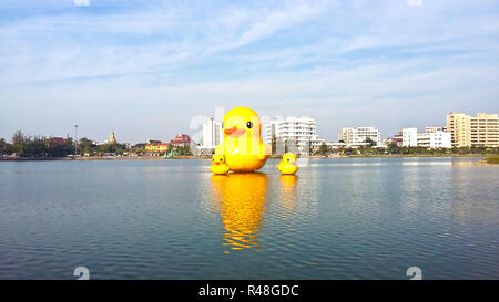 Die gelben Enten ist die meisten Schlager-Ansicht für Fotos. Der Park der großen Provinzen ist berühmt, Udonthani, Thailand. Stockfoto