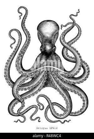 Octopus Handzeichnung vintage Gravur Abbildung auf weißem Hintergrund Stock Vektor