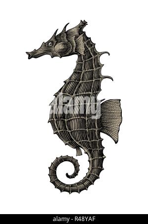 Sea horse Handzeichnung vintage Gravur Abbildung isolieren auf weißem Hintergrund Stock Vektor