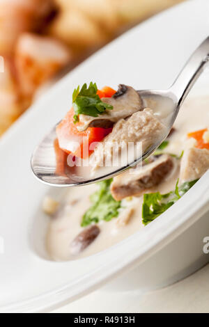 Thai Tom Kha Gai Suppe Stockfoto