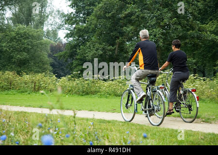 Radfahren Senioren im Park Stockfoto