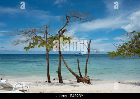 Playa Azul (blaue Strand) ist eine spektakuläre private Insel mit weißem Sand und kristallklarem Wasser, Teil der Isla Barú. Cartagena de Indias, Kolumbien Stockfoto