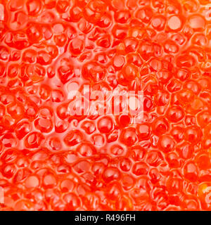 Rot Lachs Fisch roter Kaviar Nahaufnahme Stockfoto