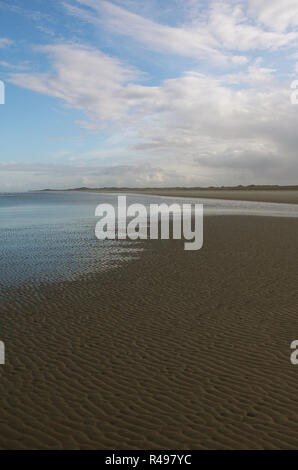 Sandbank, die bei Ebbe auf der Insel Borkum. Stockfoto