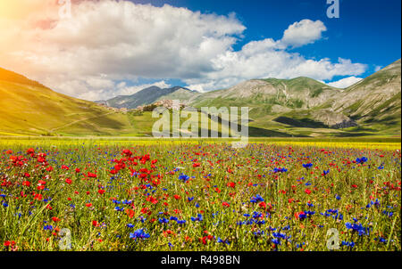 Schönen Sommerlandschaft am Piano Grande (Tiefebene) Bergplateau im Apennin, Castelluccio di Norcia, Umbrien, Italien Stockfoto