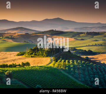 Malerische Toskana-Landschaft mit sanften Hügeln und Tälern im goldenen Morgenlicht, Val d ' Orcia, Italien Stockfoto