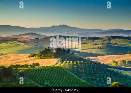 Malerische Toskana-Landschaft mit sanften Hügeln und Tälern im goldenen Morgenlicht, Val d ' Orcia, Italien Stockfoto