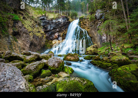 Schöne Aussicht von berühmten Gollinger Wasserfall mit bemoosten Felsen und grüne Bäume auf einem Moody im Frühling, Golling, Salzburger Land, Österreich Stockfoto