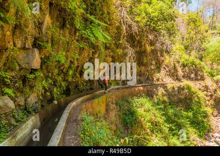 Junge Frau mit Scheinwerfer in einer levada Wanderung durch eine felsfrÃ ¤ im Osten Madeiras gesungen - levada dos Tornos Stockfoto