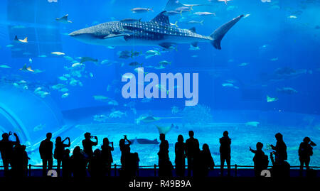 Ozeanarium in Okinawa Stockfoto