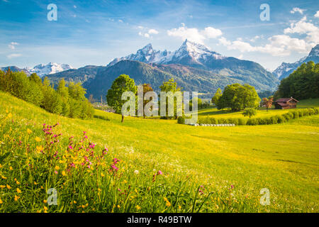Schöne Aussicht auf die idyllische Bergkulisse der Alpen mit blühenden Wiesen und schneebedeckten Berggipfel an einem schönen sonnigen Tag mit blauem Himmel im Frühjahr Stockfoto