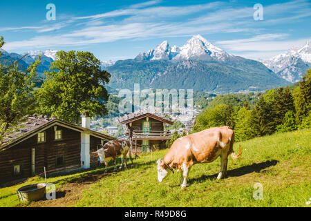 Schöne Panoramasicht auf idyllischen Berglandschaft mit traditionellen Mountain Chalets und Kuh weiden auf grünen Wiesen an einem schönen sonnigen Tag mit Bl Stockfoto