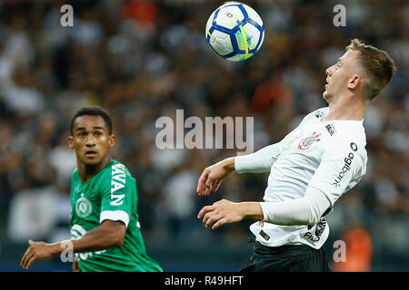 Sao Paulo, Brasilien. 26 Nov, 2018. SP - Sao Paulo - 25/11/2018 - Brasilianische ein 2018, Korinther gegen Chapecoense-Carlos Korinther Spieler während eines Spiel gegen Chapecoense im Arena Korinther für die brasilianische Meisterschaft ein 2018. Foto: Marcello Zambrana/AGIF AGIF/Alamy Credit: Live-Nachrichten Stockfoto