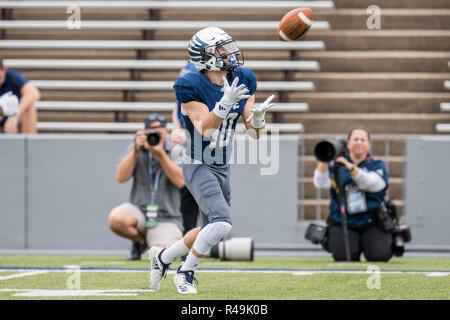 Houston, TX, USA. 24 Nov, 2018. Reis Eulen wide receiver Austin Trammell (10) fängt einen Stocherkahn während des 1. Quartals ein NCAA Football Spiel zwischen der alten Herrschaft Monarchen und den Reis Eulen am Rice Stadium in Houston, TX. Reis gewann das Spiel vom 27. bis 13. Trask Smith/CSM/Alamy leben Nachrichten Stockfoto