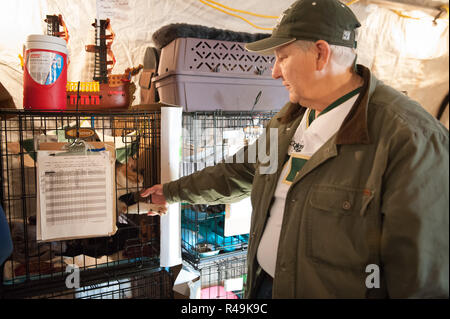 Gridley, Kalifornien, USA. 25 Nov, 2018. Atmosphäre an der American Humane Society' Camp Fire' Rescue/Tierheim Programm am Butte Co Messegelände am 25. November 2018 in Gridley, Kalifornien. Foto: Mark McKenna/imageSPACE/MediaPunch Credit: MediaPunch Inc/Alamy leben Nachrichten Stockfoto