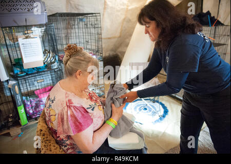 Gridley, Kalifornien, USA. 25 Nov, 2018. Atmosphäre an der American Humane Society' Camp Fire' Rescue/Tierheim Programm am Butte Co Messegelände am 25. November 2018 in Gridley, Kalifornien. Foto: Mark McKenna/imageSPACE/MediaPunch Credit: MediaPunch Inc/Alamy leben Nachrichten Stockfoto