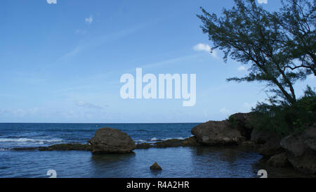 Klare und schöne Natur von Puerto Rico Stockfoto