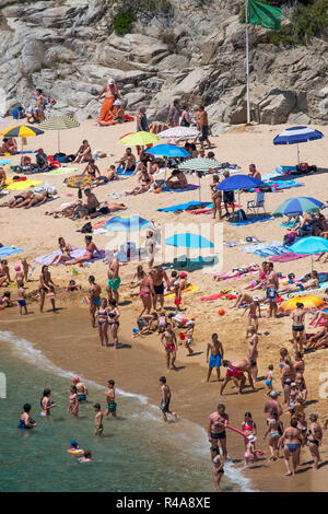 Sommer in Cala Sa baodella, Platja Strand, Lloret de Mar, Katalonien, Spanien. Stockfoto