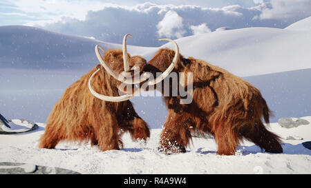 Woolly mammoth Bullen kämpfen, prähistorische Eiszeit Säugetiere im Schnee gefrorene Landschaft Stockfoto