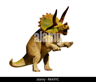 Triceratops horridus Dinosaurier in Aktion (3D-Rendering auf weißem Hintergrund) Stockfoto