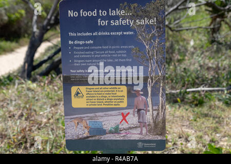 Warnzeichen über dingos (Canis lupus Dingo) auf Fraser Island, Queensland, Australien Stockfoto