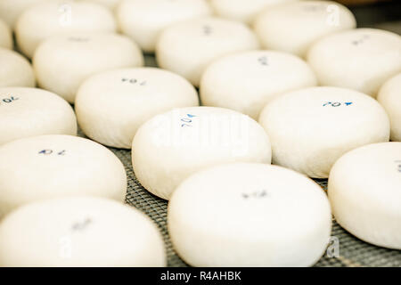 Frischkäse Räder nach dem Einsalzen Prozess auf dem Tisch bereit für Alterung Stockfoto