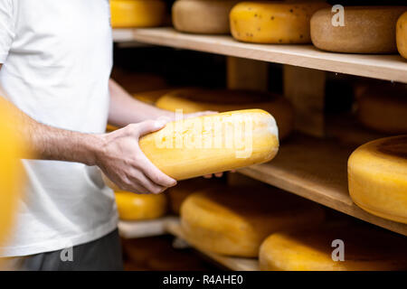 Arbeitnehmer, die Käse bei der Lagerung während der Käse Alterungsprozess. Nahaufnahme mit kein Gesicht Stockfoto