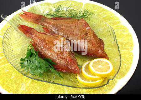 Geräucherter Fisch rot salwater sebastes Norvegicus Stockfoto