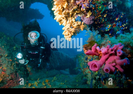 Rosa Rohr schwamm und Taucher, Baia Sardinia, Italien, Europa, Mittelmeer, (Haliclona mediterranea) Stockfoto