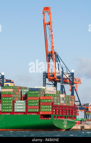 ROTTERDAM, die Niederlande - Januar 11, 2015: Der extrem großen Containerschiffs CSCL-Kugel von der China Shipping Line an der Euromax Termina günstig Stockfoto