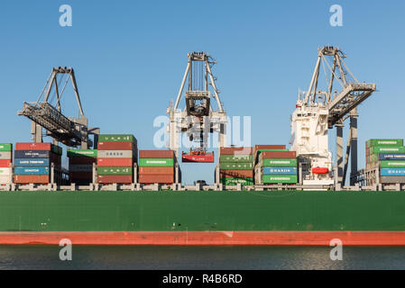 ROTTERDAM, die Niederlande - Dezember 4, 2015: Die große Container schiff Thalassa Doxa ist für die Entladung auf der ECT Delta Terminal am Maasvla günstig Stockfoto