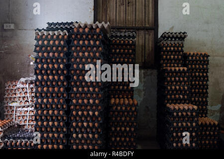 Eier für Verkauf an ein Ei shop in Hat Yai, Thailand. Stockfoto