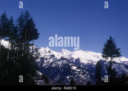 Schneebedeckte Berge mit Bäumen, Solang Valley, Manali, Himachal Pradesh, Indien, Asien Stockfoto