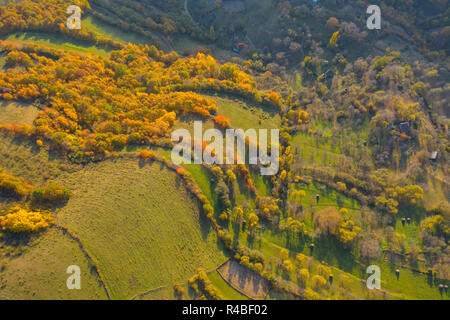 Drone Ansicht des Herbstes Wiese und Wald. Antenne Natur Stockfoto