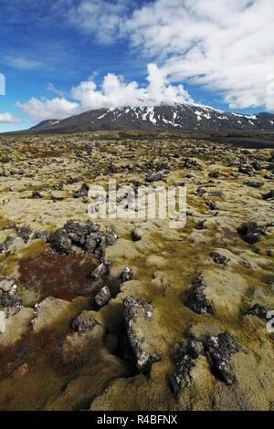 Weiße Gipfel der Snæfellsjökull Vulkan im Westen von Island - 1446 m Höhe. Stockfoto