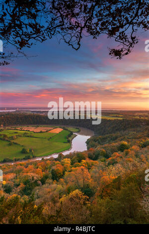 Obere Wyndcliff, Fluss Wye und Severn Estuary, Wye Valley, Monmouthshire, Wales, Großbritannien Stockfoto