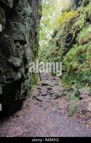 Lud die Kirche ist eine tiefe Kluft in der Kakerlaken im Norden von Staffordshire Peak District. England Großbritannien Stockfoto