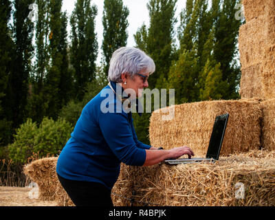 Ein Unternehmer senior Frau arbeiten im Freien auf einem Bauernhof mit einem Laptop über eine Heu Ballen Stockfoto