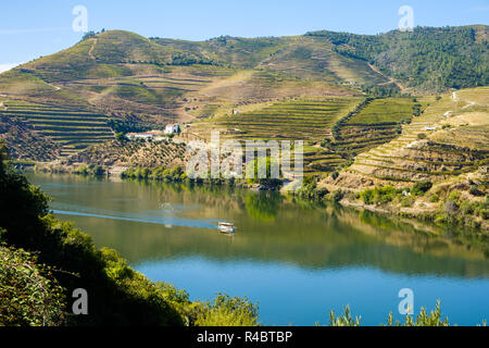 Peso Da Regua, Portugal - Oktober 05, 2018: Boot, die Touristen auf dem Fluss Douro, Vila Real, Portugal Stockfoto