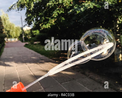 Aufgeblasene Seifenblase auf der Straße der Stadt. Die schöne dubble Seifenblase in eine grüne Stadt Park Alley, Hintergrund mit Platz für Text. Stockfoto