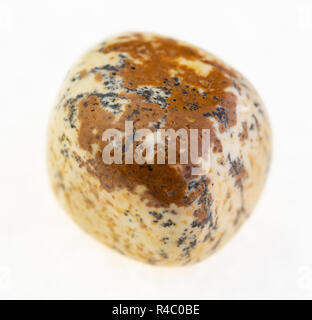 Makrofotografie von natürlichen Mineral aus geologische Sammlung - trommelsteine Jaspis Sandstrand auf weißem Hintergrund Stockfoto