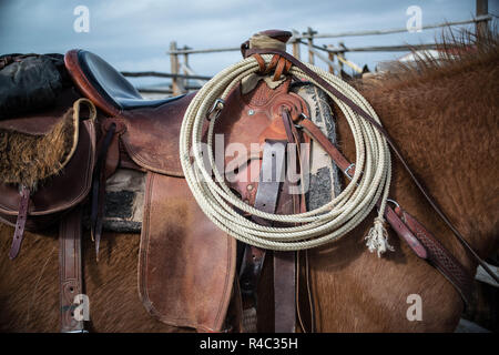 Sauerampfer Pferd gesattelt mit lariat Seil und Satteltaschen bereit, in Holz zu fahren Corral Stockfoto