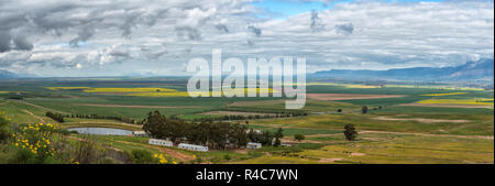 CITRUSDAL, SÜDAFRIKA, 22. AUGUST 2018: Panoramablick Bauernhof Landschaft wie aus dem Piekenierskloof Pass zwischen Piketberg und Citrusdal im Westen gesehen Stockfoto