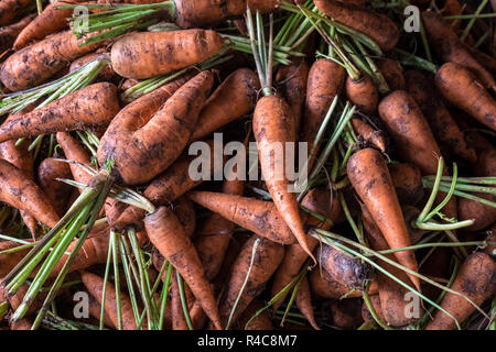 Karotten auf Anzeige an eine in der Dong Ba Markt in Hue, Vietnam Abschaltdruck Stockfoto