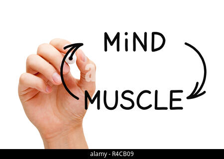 Handzeichnung Mind-Muscle Verbindung Konzept mit schwarzem Marker auf Transparenten abwischen Board auf Weiß isoliert. Stockfoto