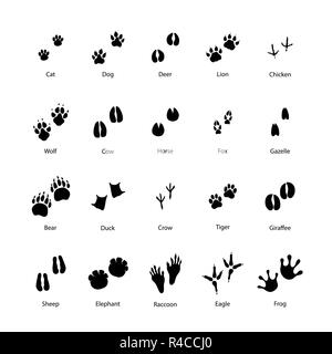 Große Anzahl von Tier- und Vogel Silhouetten von Schritten Abdrücke isoliert auf weißem Stock Vektor