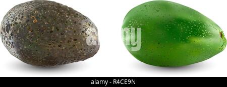 Sammlung von zwei Arten von Avocado. Satz Reifen realistische avocado Früchte. Vector Illustration.. Isolation auf weißem Hintergrund Stock Vektor