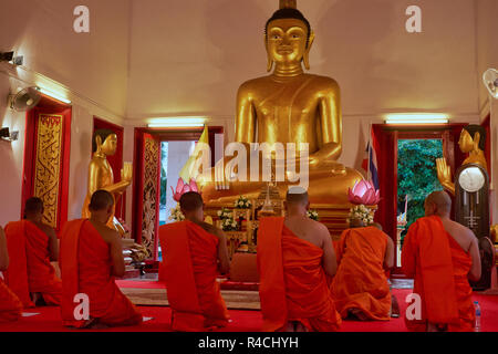 Mönche montiert für abendliche Gebete und Meditation vor einer Buddha-statue im Wat Mongkon "Nimit" in der Stadt Phuket, Phuket, Thailand Stockfoto