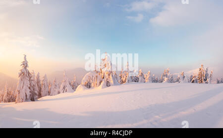 Fantastische orange Winterlandschaft in Snowy Mountains glühende durch Sonnenlicht. Dramatische winterliche Szene mit verschneiten Bäumen. Weihnachten Konzept. Stockfoto