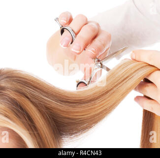 Haarschnitt - Stock Bild Stockfoto